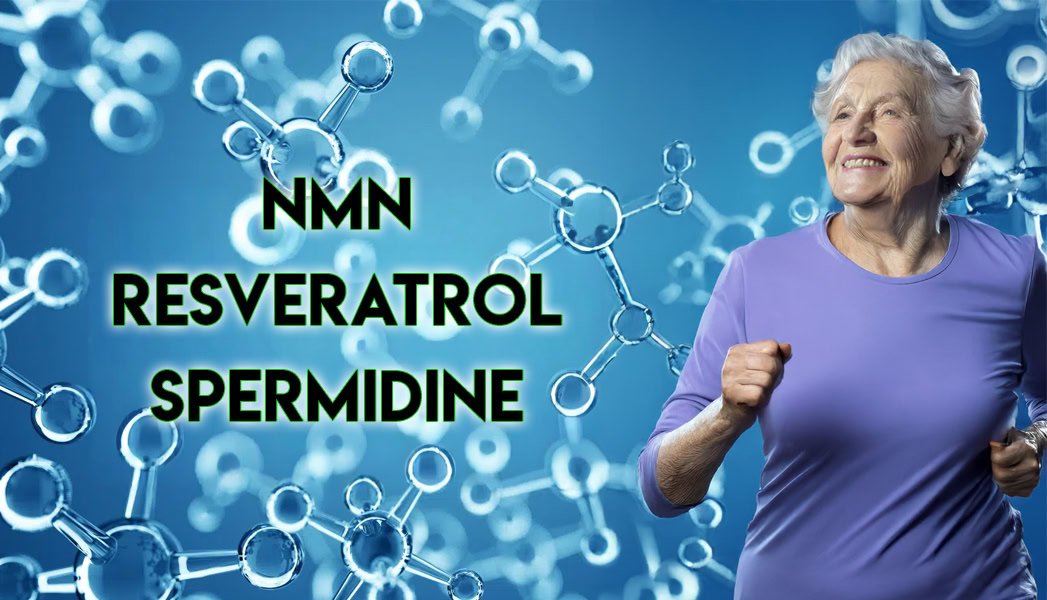 NMN, Resveratrol, Spermidine - Uzun yaşam sırları